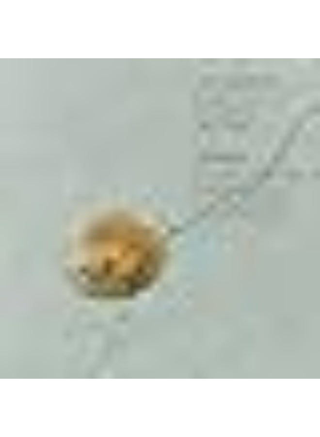 أيسوب سيروم إيسوب المكثف المضاد للأكسدة ببذور البقدونس 60 مل - Image 3