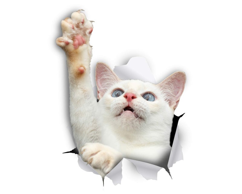 Winston Bear Winston & Bear 3D Cat Stickers - 2 Pack - White Reaching Cat Decals for Wall  Stickers for Bedroom - Fridge - Toilet - Room - Retail Packaged - Image 1