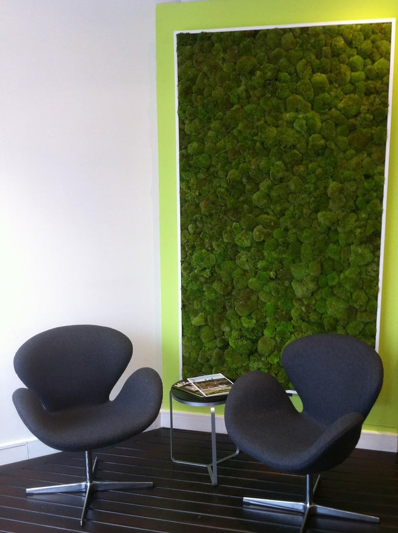 SuperMoss (21542) Mood Moss Preserved, Fresh Green, 4oz - Image 4