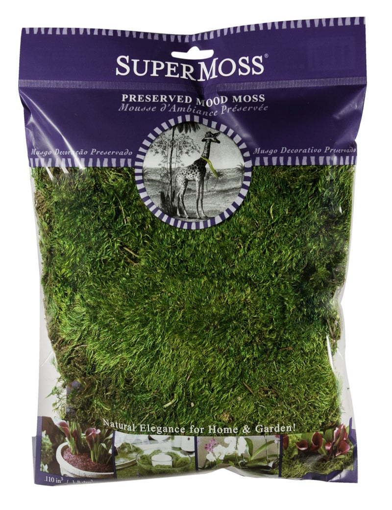 SuperMoss (21542) Mood Moss Preserved, Fresh Green, 4oz - Image 1