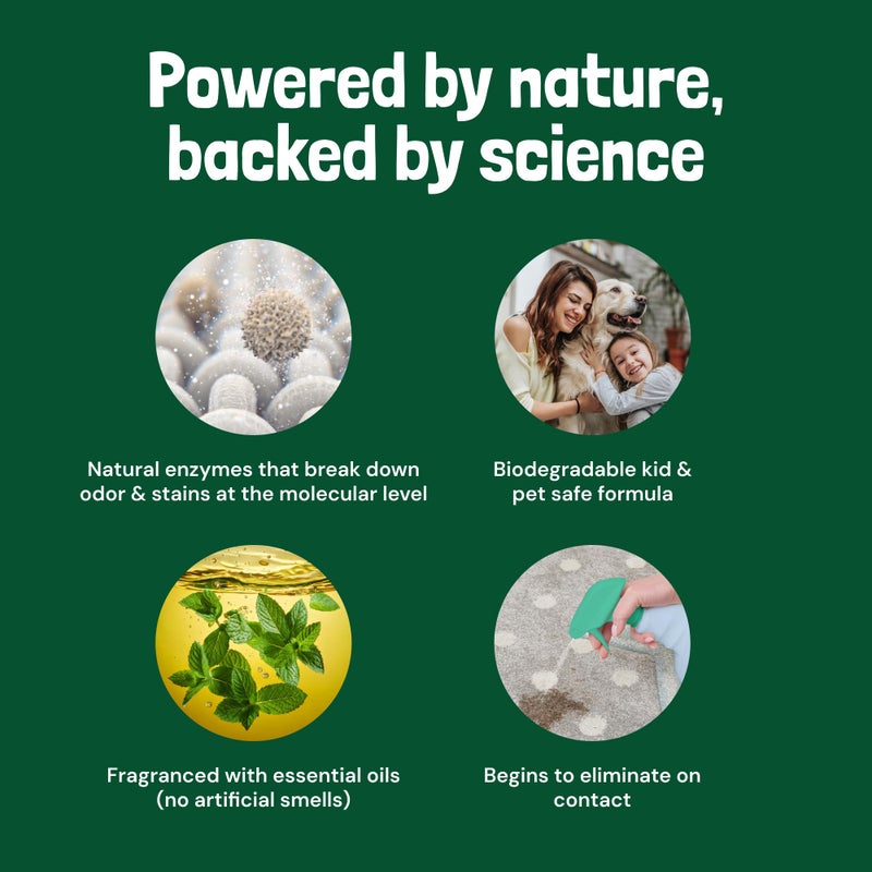 Sunny & Honey Pet Stain & Odor Miracle - 32 Fl Oz, Spring Mint Scent - Carpet Cleaner & Enzyme Spray for Carpets, Mattresses & Upholstery - Rug Shampoo & Dog Pee Cleaner & Odor Remover - Image 3