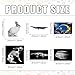 Saypacck 13 Pcs Animal XRay Set with 13 Pcs Animals Flash Cards Educational Science Kits - Image 4
