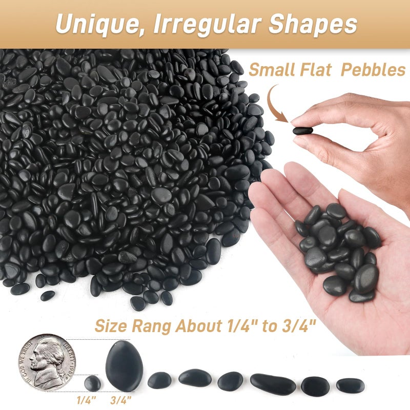 Mulctun 2lb Black Rocks for Planters- 1/4" - 3/4" Polished Black Stones Smooth Flat Pebbles for Fish Tanks Decorative River Rocks for Vases Bonsai Pots Garden Stones for Landscaping and Yards - Image 2