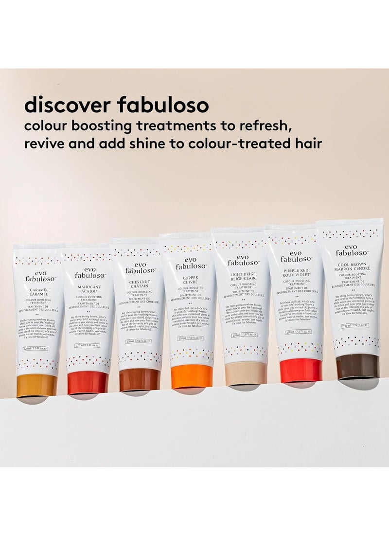 EVO Evo Fabuloso  purple red colour boosting treatment 220ml  - Image 3