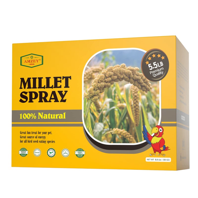 Amzey 5.5LB Spray Millet for Parakeets, 100% Natural Sun-Dried Healthy Bird Treat, Non-GMO High Protein Fresh Millet Spray for Parrots, Cockatiel, Finches & Lovebirds - Image 1