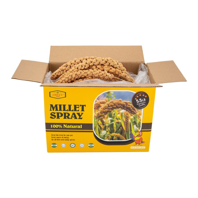 Amzey 5.5LB Spray Millet for Parakeets, 100% Natural Sun-Dried Healthy Bird Treat, Non-GMO High Protein Fresh Millet Spray for Parrots, Cockatiel, Finches & Lovebirds - Image 2