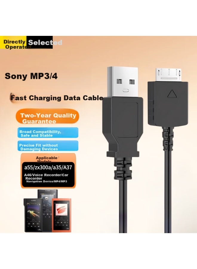 Ten Flashes كابل بيانات Mp3 كابل شحن Mp4 شاحن متوافق مع مشغل سوني ووكمان A35/A37/A46 NW-A27HN/ZX2/ZX100 - Image 1