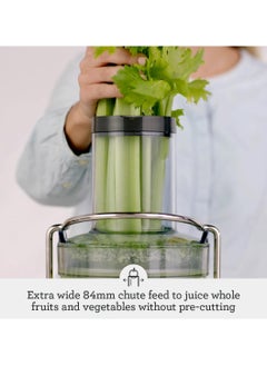 Sage - The Nutri Juicer Cold - 1250w, 2L Jug, Dishwasher Safe with Cold Extraction & Mesh Filter- UAE Version, 2 Year Manufacturer Warranty - pzsku/ZCA704AF4E9492F0C7A7DZ/45/_/1738834078/6ceff5bd-052e-4173-90a3-18d02df5c53d