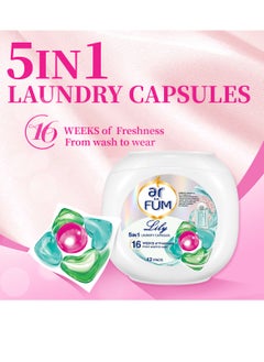 ArFum PODS, 5-in-1 Laundry Detergent Capsules with Scent Booster, Detergent Concentrate, Softener, Color Protect, Powerful Stain Remover in 1 capsule, 16 Weeks Long-Lasting Fragrance, 42 Pods, Lily - pzsku/ZCA71644B35312F628E13Z/45/_/1732784131/61ded887-b84e-4982-9193-de8a5d6b4f52