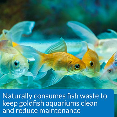 API GOLDFISH CARE PACK Aquarium Water Conditioner 1.25-Ounce Bottle - Image 3