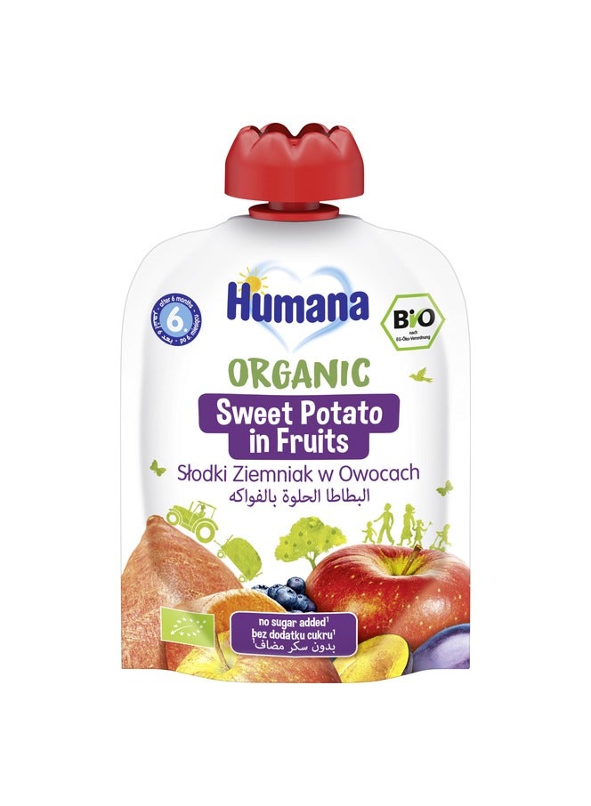 Humana ORGANIC SWEET POTATO IN FRUITS 90GM - Image 3