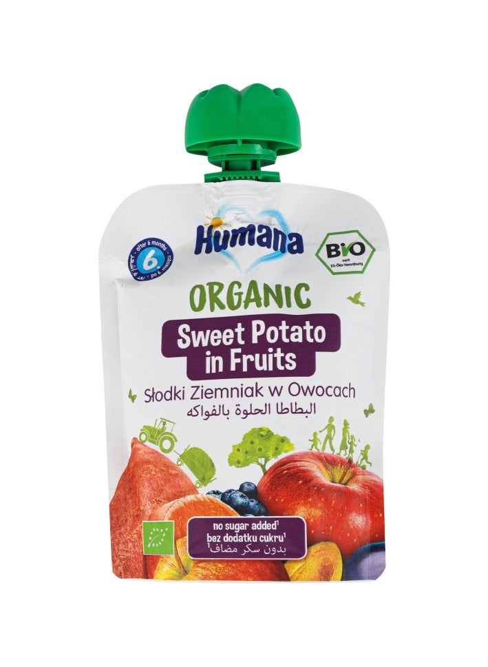 Humana ORGANIC SWEET POTATO IN FRUITS 90GM - Image 2