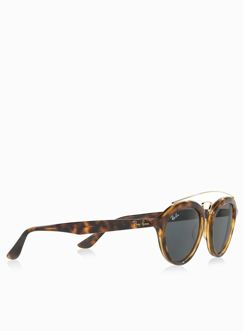 Ray-Ban Gatsby II Sunglasses