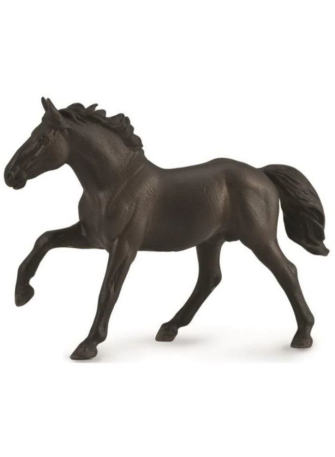 CollectA Nonius Stallion