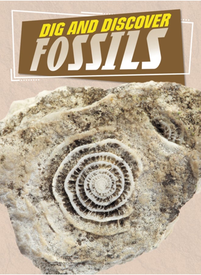 Dig and Discover Fossils 