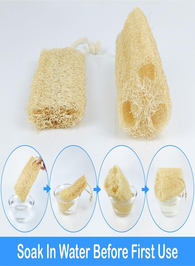 HillSpring Organic Natural Loofah Sponge for Cleaning and Showering, Plant Fiber Body Bath Scrubber, 100% Plastic Free, Compostable, Set of 4 - Image 3
