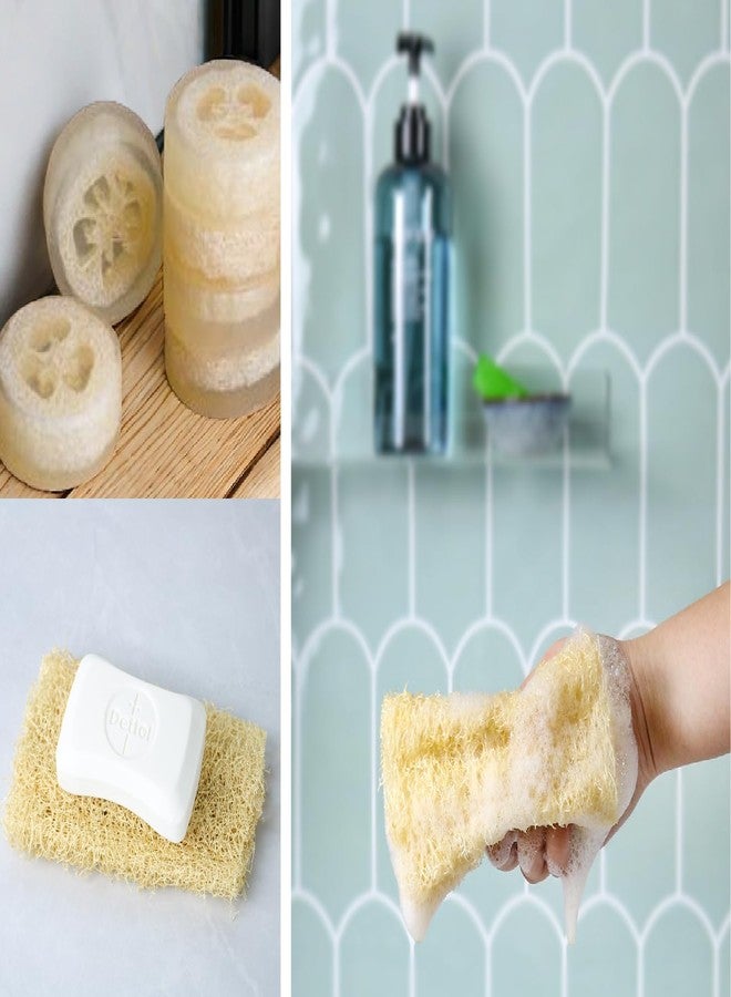 HillSpring Organic Natural Loofah Sponge for Cleaning and Showering, Plant Fiber Body Bath Scrubber, 100% Plastic Free, Compostable, Set of 4 - Image 4