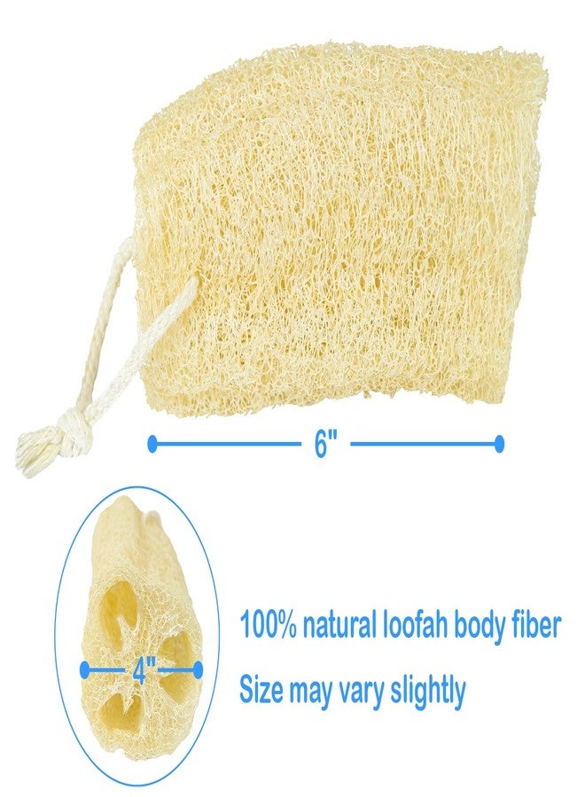 HillSpring Organic Natural Loofah Sponge for Cleaning and Showering, Plant Fiber Body Bath Scrubber, 100% Plastic Free, Compostable, Set of 4 - Image 5