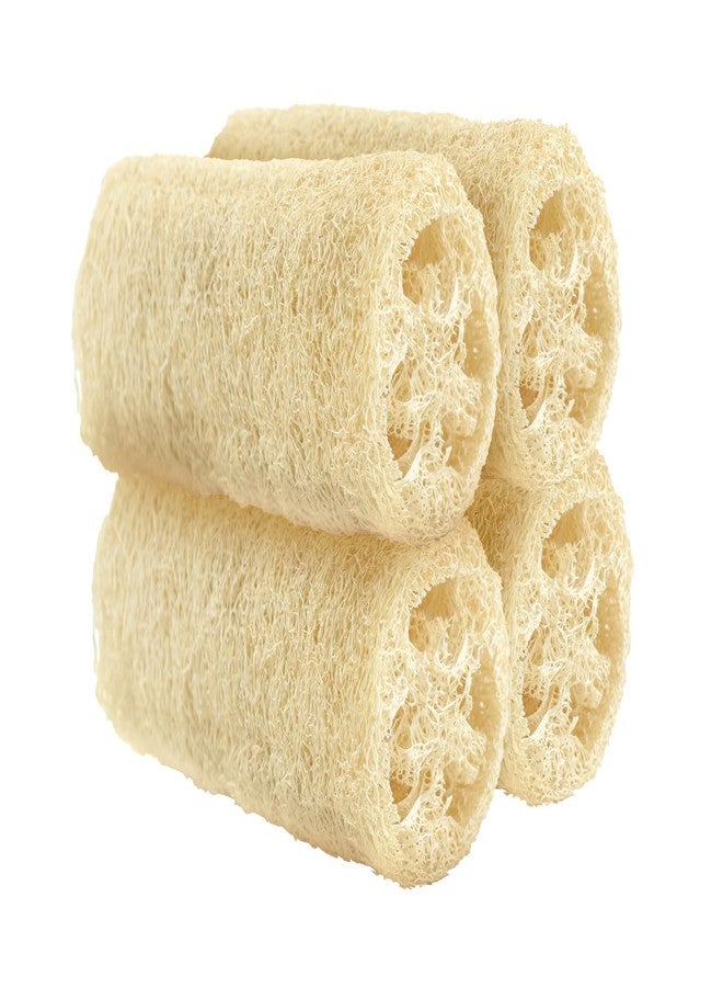 HillSpring Organic Natural Loofah Sponge for Cleaning and Showering, Plant Fiber Body Bath Scrubber, 100% Plastic Free, Compostable, Set of 4 - Image 1