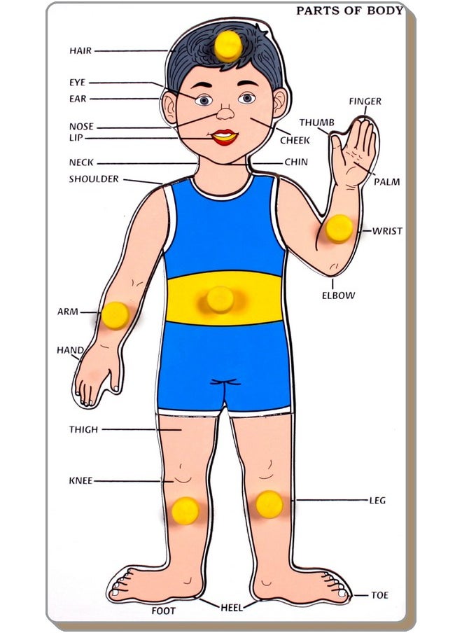 Little Genius - Little Genius Parts of Body Educational Puzzle Tray(Boy), Colourful(PT-08) - Image 1