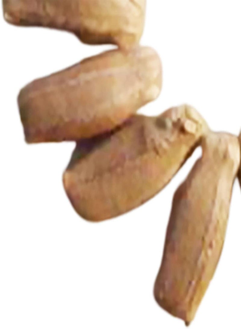 GGOOT Fruit Seeds Productive Non-GMO Fresh Spring Mixed Chayote Seeds Garden Accessories - Image 3