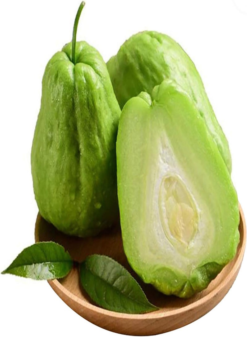 GGOOT Fruit Seeds Productive Non-GMO Fresh Spring Mixed Chayote Seeds Garden Accessories - Image 4
