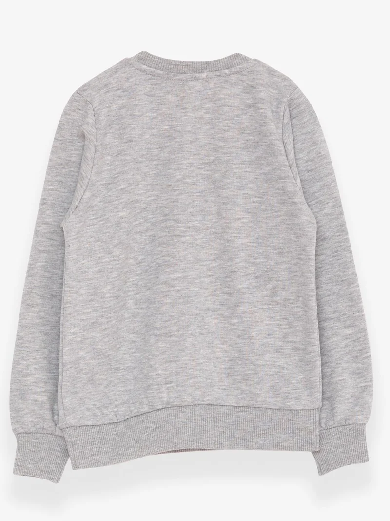 Breeze Boy's Sweatshirt Text Printed, Age 2-6, Gray Melange
