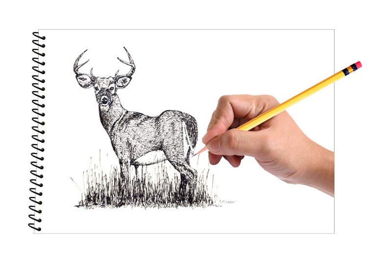 JUST RIDER "8x10" Premium Sketch Book, Spiral Binding Drawing Book 130 GSM 64 Pages Acid-Free Drawing Paper, Ideal for Kids, Teens & Adults - Image 3
