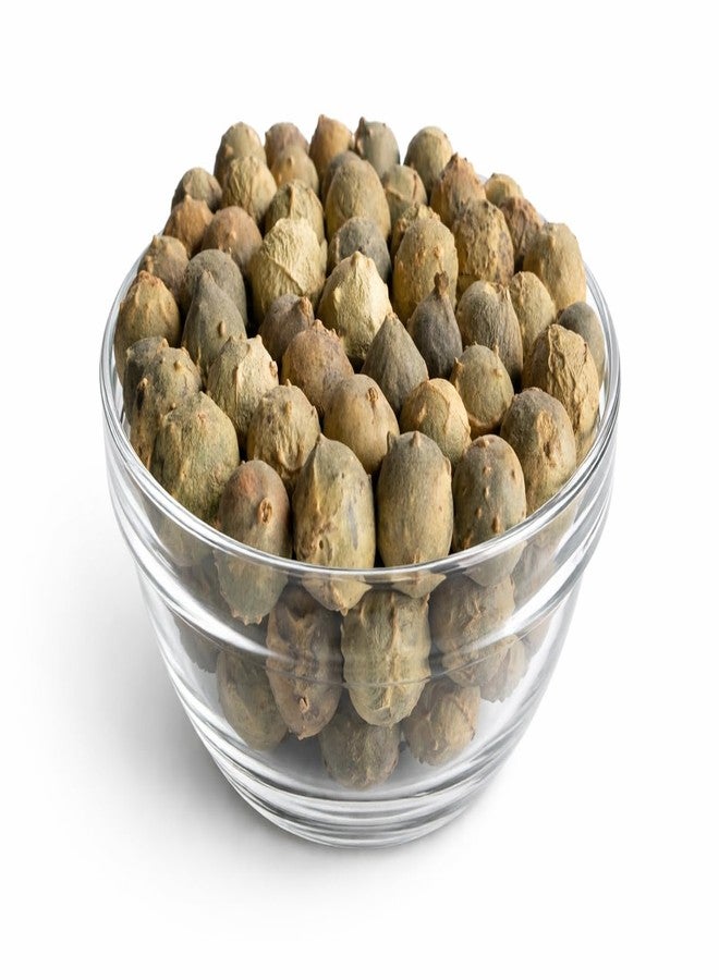 Ayushiv Majuphal (Quercus Infectoria) | Manjakani | Oak Gall | Gallnuts | Dyer's Oak | Blue Jack | Nut Galls (50 GM) - Image 2
