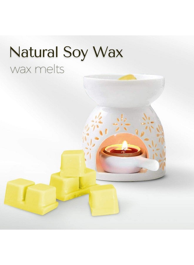 SCENTORINI SCENTORINI Wax Melts, Scented Wax Melts, Vanilla & Coconut, Apple & Cinnamon, Pumpkin, Mint & White Jasmine, Winter Cedarwood, Black Pomegranate, Mediterranean Fig, 8x2.5 oz  - Image 4