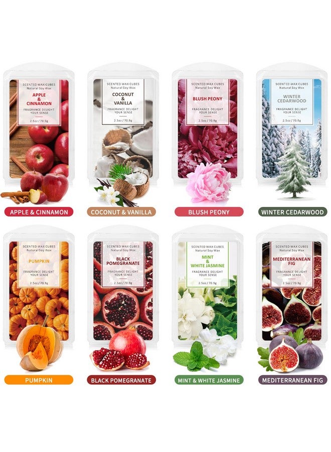 SCENTORINI SCENTORINI Wax Melts, Scented Wax Melts, Vanilla & Coconut, Apple & Cinnamon, Pumpkin, Mint & White Jasmine, Winter Cedarwood, Black Pomegranate, Mediterranean Fig, 8x2.5 oz  - Image 1
