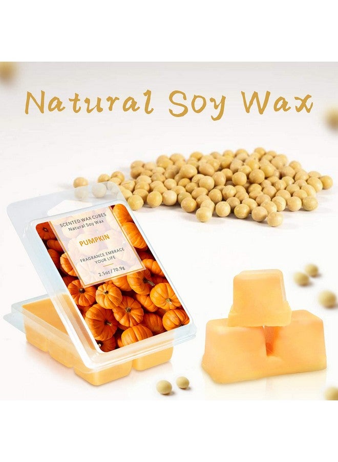 SCENTORINI SCENTORINI Wax Melts, Scented Wax Melts, Vanilla & Coconut, Apple & Cinnamon, Pumpkin, Mint & White Jasmine, Winter Cedarwood, Black Pomegranate, Mediterranean Fig, 8x2.5 oz  - Image 3
