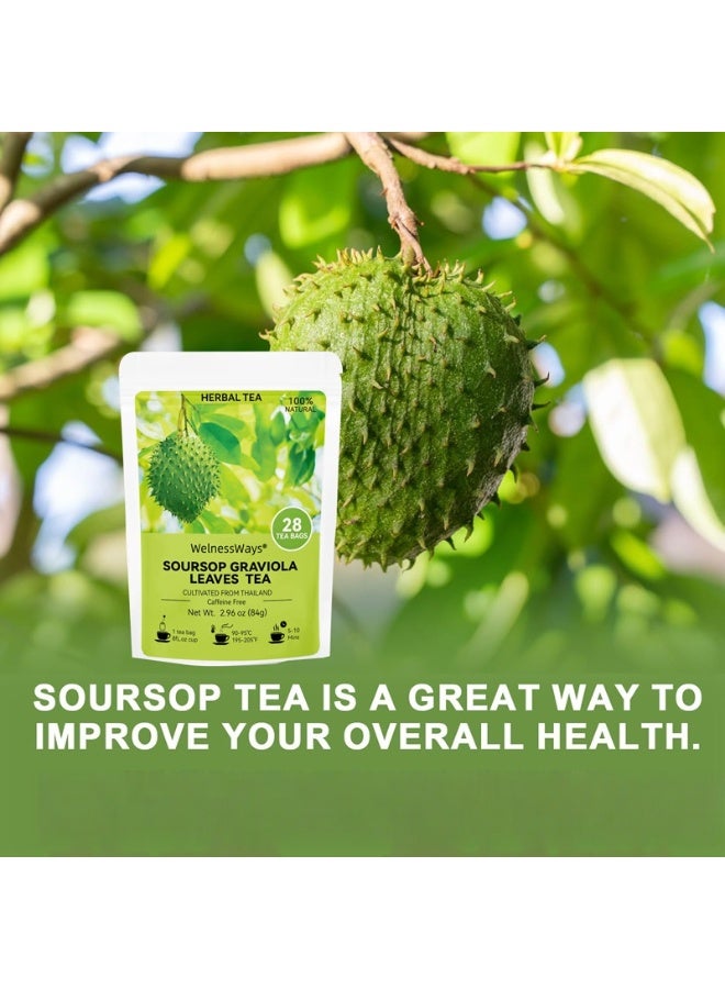 WelnessWays 2-PACKS 100% Pure Soursop Graviola Leaves tea,Annona muricata - Guanabana - Premium Quality 100% Pure Leaf - Image 3