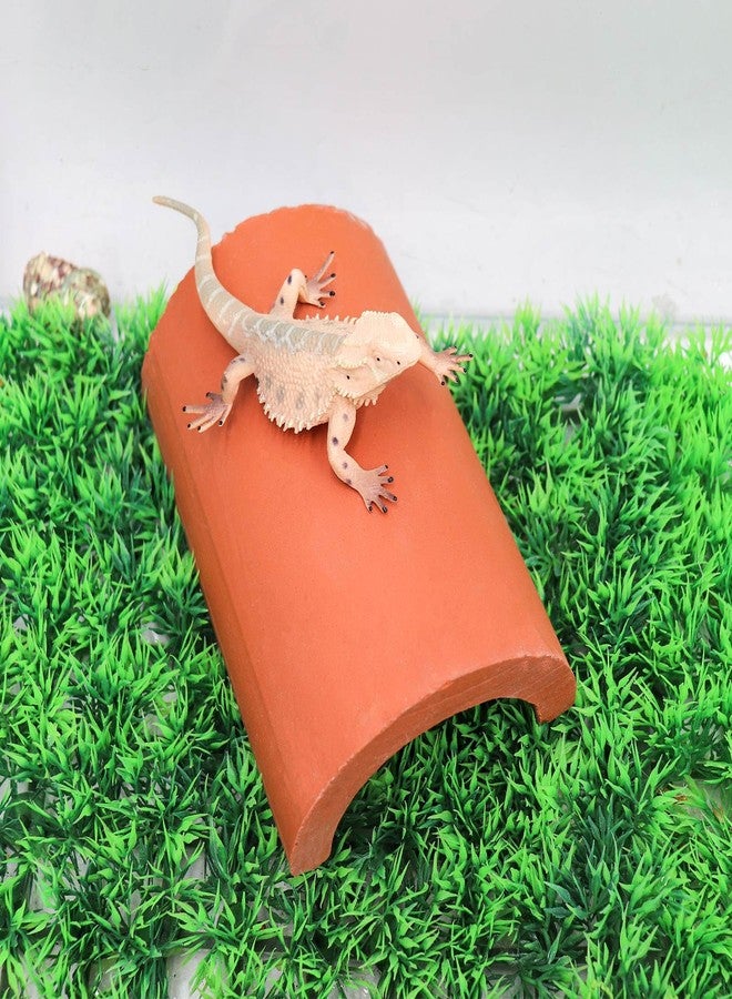 Neeenn 2 Pack Reptile Hide Cave, Natural Terracotta Lizard Habitat Hideout, Bearded Dragon Food Bowl, Tank Terrarium & Aquarium Decor Accessories for Hermit Crab Leopard Gecko Snake Spider Hamster Turtle - Image 5