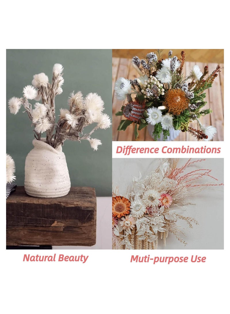 Excefore Large Heads Dried White Daisy Flowers -Real Dried Silver Daisy Chamomile Flower Bundle for Vase Home Wedding Boho Office Decor, Dried Daisies, Home Furnishing, DIY Arrangement, 1 Bunch/40-50 Heads - Image 3