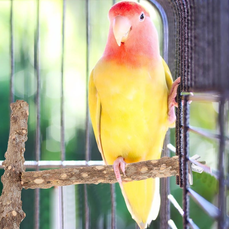 Natural Wood Bird Perch Set Of 2 Parrot Foot Exercise Grinding Sticks For Cockatiels - Image 3
