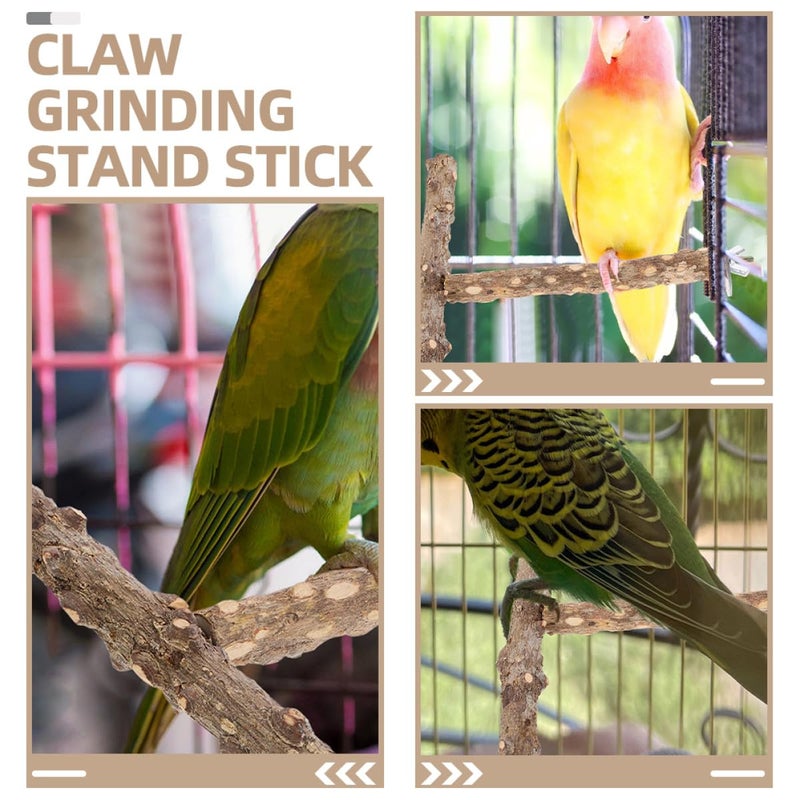 Natural Wood Bird Perch Set Of 2 Parrot Foot Exercise Grinding Sticks For Cockatiels - Image 5