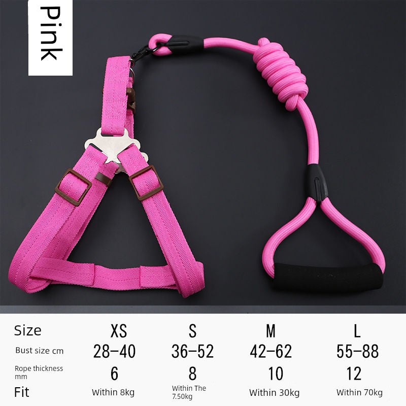 Dog leash Medium-sized small dog Puppy walking leash Dog leash Cat collar Teddy Golden Retriever Pet supplies - Image 2