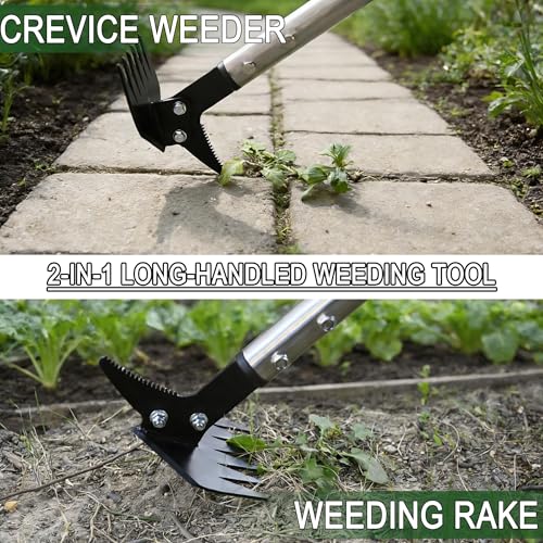 BARAYSTUS Weed Puller 61" Adjustable Long Handle, 2-in-1 Weed Rake & Crack Weeder with Detachable Head, Stainless Steel Weeding Tool for Lawn, Yard, Garden & Sidewalk Cracks, Weed Remover - Image 3