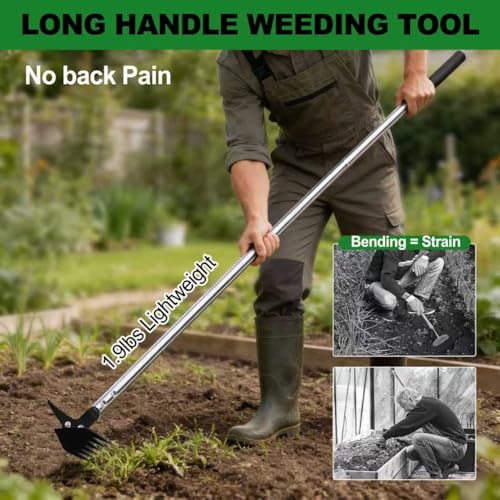BARAYSTUS Weed Puller 61" Adjustable Long Handle, 2-in-1 Weed Rake & Crack Weeder with Detachable Head, Stainless Steel Weeding Tool for Lawn, Yard, Garden & Sidewalk Cracks, Weed Remover - Image 2