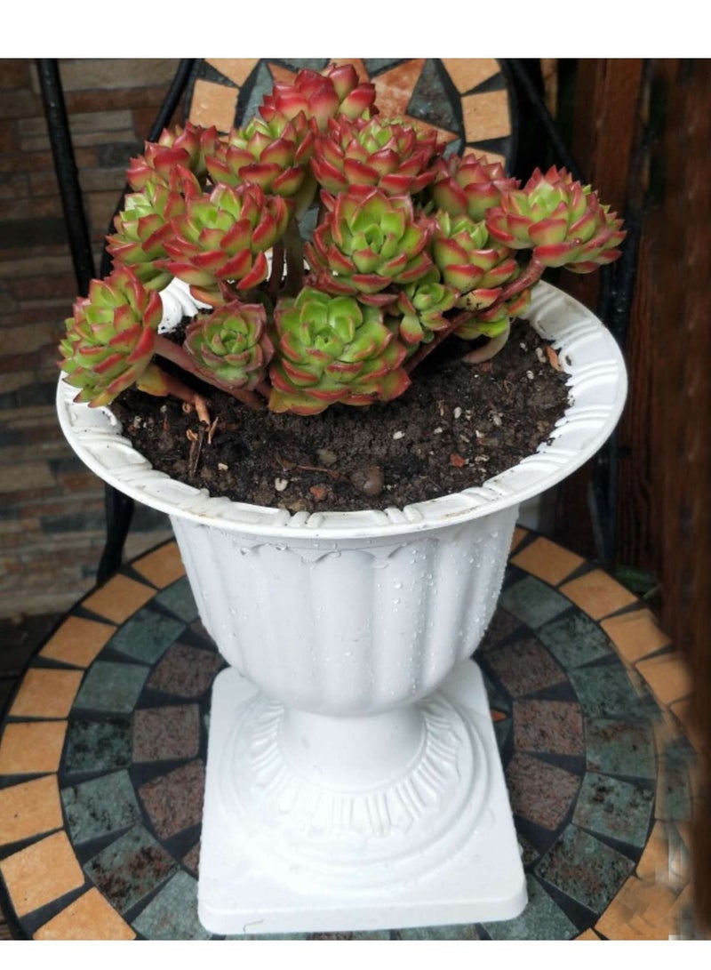 Generic FFD Plastic Plant Flower Seedlings Nursery Pot Decorative Garden Pots Flower Modern Decorative Gardening Containers  - Image 5