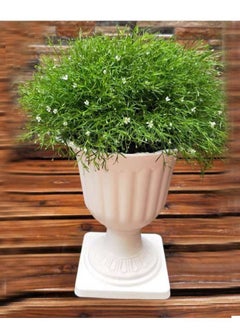 Generic FFD Plastic Plant Flower Seedlings Nursery Pot Decorative Garden Pots Flower Modern Decorative Gardening Containers  - Image 4