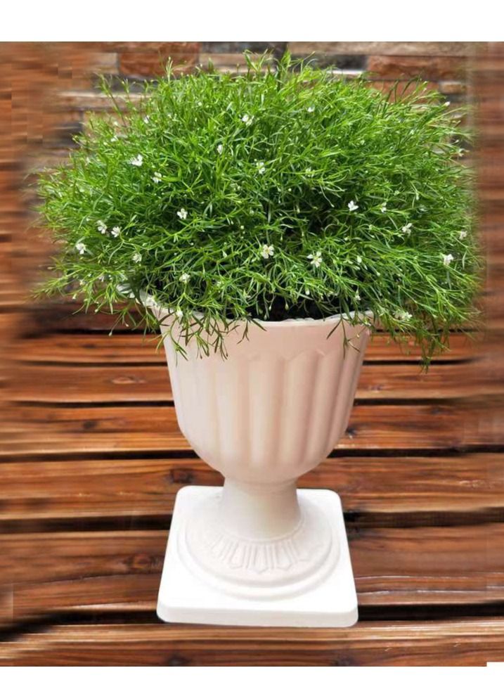 Generic FFD Plastic Plant Flower Seedlings Nursery Pot Decorative Garden Pots Flower Modern Decorative Gardening Containers  - Image 4