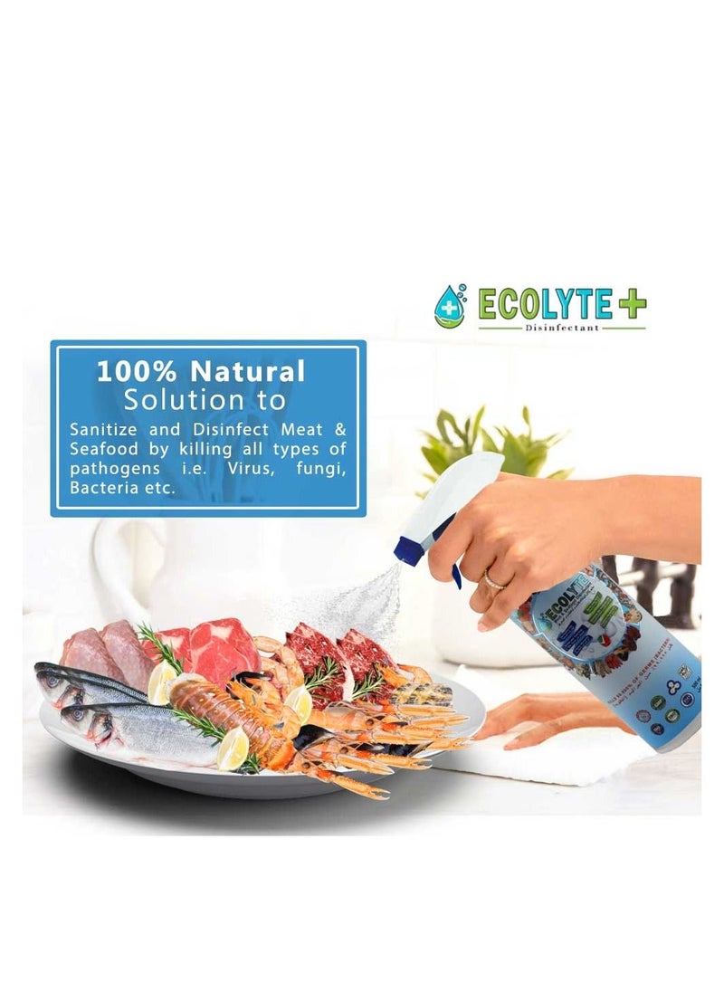 Ecolyte+ All in one Bundle (1 Ltr, 3pcs) Buy Two get one Free | Multi Surface Disinfectant | Fruit and vegetable Disinfectant | Meat and Seafood Disinfectant | Complete Natural Disinfectant Bundle