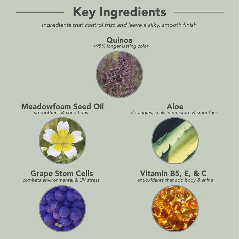 FRAMESI Smooth Shine Sulfate Free Shampoo for Color Treated Hair, 16.9 Fl Oz - Image 4