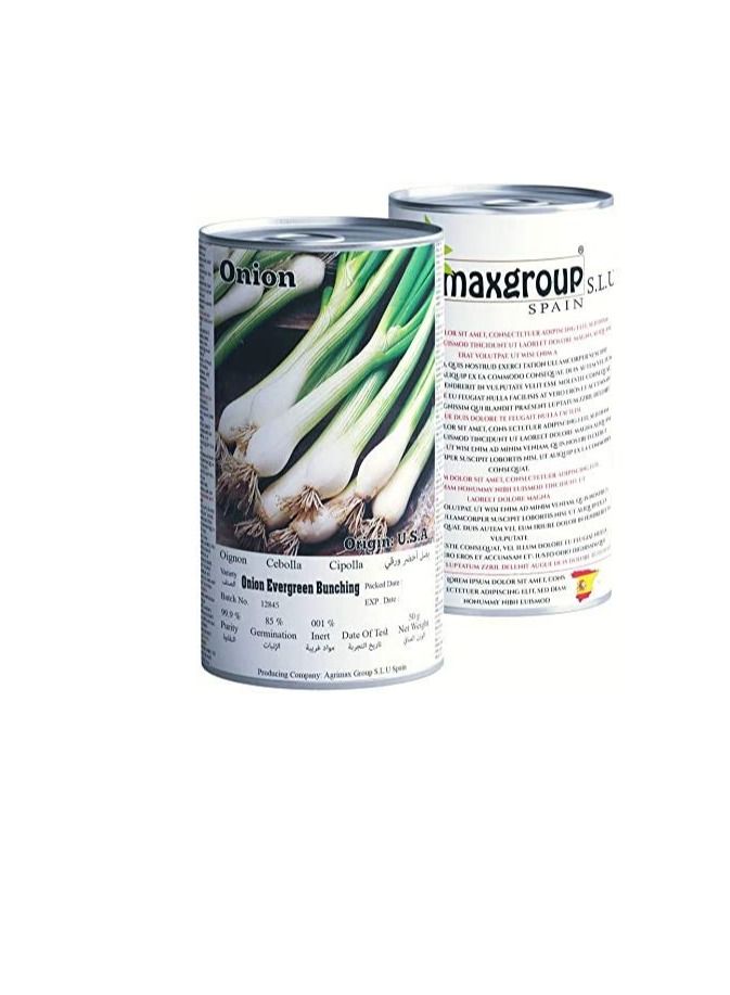 Agrimax Spring Onion Hobby Premium Quality Seeds - Image 2