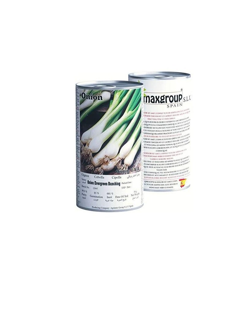 Agrimax Spring Onion Hobby Premium Quality Seeds - Image 3