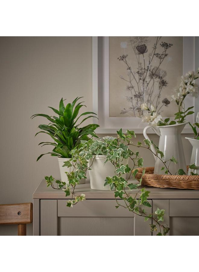 Green Tiger Plant Pot, Light Grey-Beige, 12 Cm - Image 3