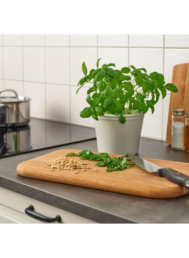 Green Tiger Plant Pot, Light Grey-Beige, 12 Cm - Image 2