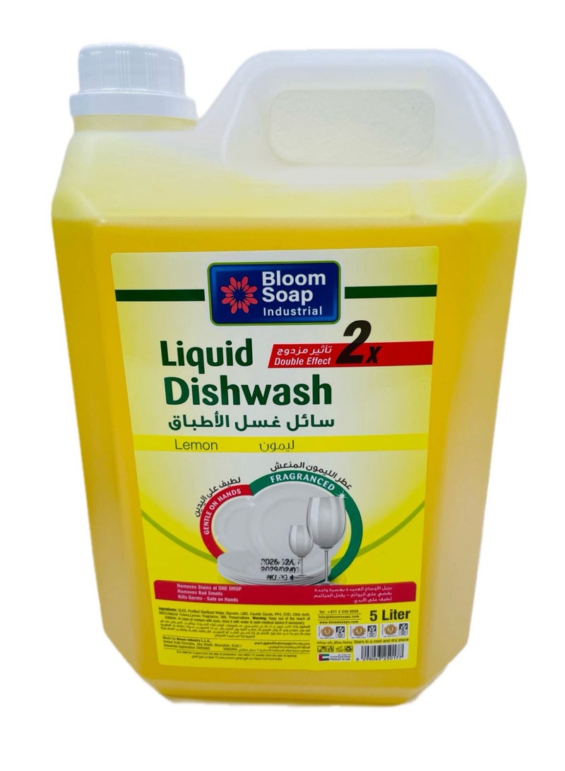 DISH WASH LIQUID 5 LTR